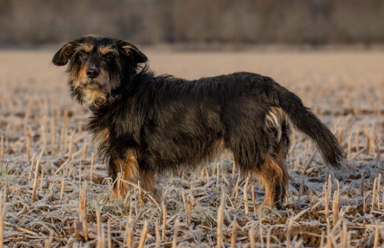 Christine beim Training